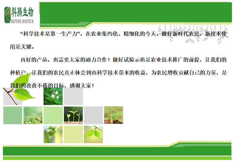 科腾7.png