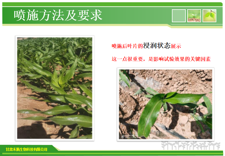 科腾5.png