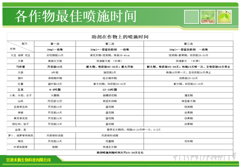 科腾4.png